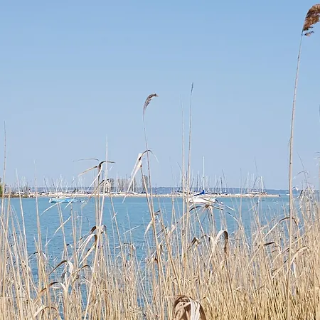 Coastline Balaton