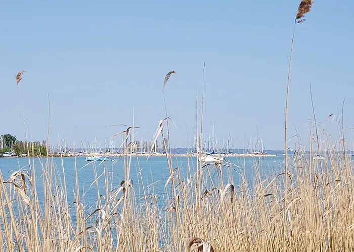Coastline Balaton